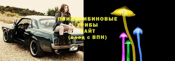 трава Протвино