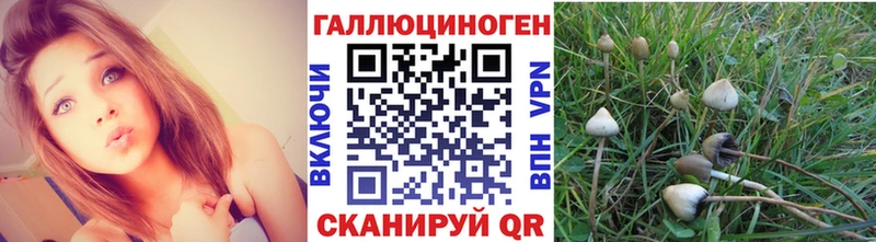 Галлюциногенные грибы мухоморы мега рабочий сайт Каменногорск