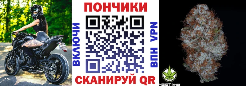 Бошки марихуана THC 21%  Каменногорск 